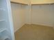 A spacious walk-in closet with carpeted floors and built-in shelving at 7649 Slide Rock Ave, Las Vegas, NV 89113