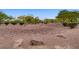 Serene community landscape featuring mature trees, rocks and shrubbery, promoting outdoor living at 8125 Turbys Treehouse Pl, Las Vegas, NV 89131