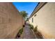 Side yard with brick path at 8125 Turbys Treehouse Pl, Las Vegas, NV 89131