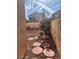 Cozy backyard featuring stone pavers and desert landscaping at 8788 Elise Ct, Henderson, NV 89074