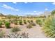 Scenic backyard landscaping overlooks the golf course with stunning mountain views in the distance at 10557 Shoalhaven Dr, Las Vegas, NV 89134