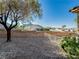 Landscaped backyard featuring desert landscaping and a white fence at 10709 Hunters Woods Pl, Las Vegas, NV 89134