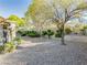Expansive backyard with mature shade trees and desert landscaping at 10709 Hunters Woods Pl, Las Vegas, NV 89134