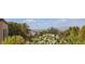 Lush backyard view with vibrant flowers and greenery overlooking the distant city skyline at 2256 Cordaville Dr, Henderson, NV 89044