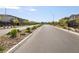 Street view of a community with landscaped medians and sidewalks lined with young trees at 2877 Sweeping Palm Rd, North Las Vegas, NV 89086