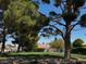 Beautiful community green space under mature tree canopy at 5512 Oakwood Ridge St, Las Vegas, NV 89130