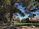 Green common area in the neighborhood with safety signage at 5512 Oakwood Ridge St, Las Vegas, NV 89130