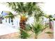 Backyard showcasing desert landscaping, including various palm trees, for a low-maintenance outdoor space at 128 Golf Course St, Las Vegas, NV 89145