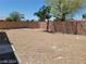 View of the backyard featuring a gravel landscape, surrounded by a privacy wall, with a young tree in the center at 3012 Silver Canyon Ln, North Las Vegas, NV 89031