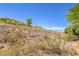 View of the desert hillside landscape behind the property, with natural vegetation at 35 Glade Water Dr, Henderson, NV 89052
