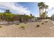 Gravel-covered backyard with mature desert landscaping and tall palm trees at 3684 Mooncrest Cir, Las Vegas, NV 89129