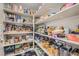 Walk-in pantry with organized shelving filled with a variety of food and household items at 421 Malpaso St, Las Vegas, NV 89138