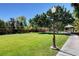 Well-manicured common area with grass, trees, walking path, and seating area under a clear blue sky at 5903 Karnes Ranch Ave, Las Vegas, NV 89131