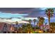 Scenic view of neighborhood with palm trees and colorful sunset backdrop at 8204 Antler Pines Ct, Las Vegas, NV 89149