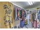 Well-organized walk-in closet with ample shelving, hanging space, and storage solutions at 8204 Antler Pines Ct, Las Vegas, NV 89149