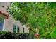 Beautiful backyard pathway with lush greenery and mature trees at 8221 Crow Valley Ln, Las Vegas, NV 89113