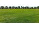 Expansive green space with mature trees in the distance, perfect for recreation at 9001 Picket Fence Ave, Las Vegas, NV 89143