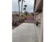 Spacious backyard featuring a concrete patio with scattered desert landscaping and tall palm trees at 10023 Liberty View Rd, Las Vegas, NV 89148