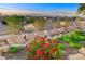 Beautifully landscaped backyard with colorful flowers and a scenic view of the mountains in the distance at 1637 Wellington Springs Ave, Henderson, NV 89052