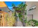 Side yard pathway with overhead trellis creates a charming walkway to backyard at 1637 Wellington Springs Ave, Henderson, NV 89052