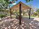 Community Picnic Pavilion surrounded by lush green grass, mature trees, and a tranquil area at 1753 Tanner Cir, Henderson, NV 89012