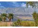 Distant mountain view overlooking desert foliage and tile rooftops of home at 2092 Wildwood Lake Street, Henderson, NV 89052
