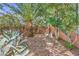 Secluded backyard with mature trees, desert landscaping, and a serene stone pathway at 7521 Dry Pines Cir, Las Vegas, NV 89129