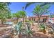 Expansive backyard featuring desert landscaping, mature trees, and a glimpse of the home's exterior at 7521 Dry Pines Cir, Las Vegas, NV 89129
