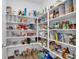 Large walk-in pantry features lots of storage with well-lit shelving at , North Las Vegas, NV 89031