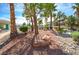 Community park featuring mature trees, green grass, and walking path at 1000 Grammy Dr, Las Vegas, NV 89145