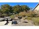 Community area featuring a picnic table, a grill, and lush landscaping at 1024 Fishing St, Henderson, NV 89011