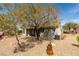 Backyard features shade trees, desert landscaping with rock ground cover plus view of house with covered patio and shutters at 435 Piute Valley Ct, Henderson, NV 89012