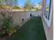 Fenced backyard with green grass and exterior wall at 7057 Millers Run St, North Las Vegas, NV 89084