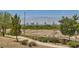 Roadside desert landscape with distant city views at 1197 Bear Head St, Henderson, NV 89011