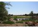 Community golf course with beautiful trees, green grass, and a pristine pond at 17 Chatmoss Rd, Henderson, NV 89052