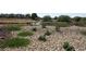 Beautiful landscaping with a stone ground cover, lush greenery, and a serene waterfall feature at 17 Chatmoss Rd, Henderson, NV 89052