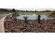 Picturesque water feature with desert landscaping, fountain, and golf course in the background at 17 Chatmoss Rd, Henderson, NV 89052