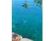 An eye-level view from the shore of a turtle swimming in a clear lake at 3125 N Buffalo Dr # 1080, Las Vegas, NV 89128
