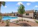 Beautiful in-ground backyard swimming pool, patio area, and a landscaped yard at 3920 Autumn St, Las Vegas, NV 89120
