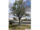 Beautiful single-story home with desert landscaping, mature trees and shade in quiet neighborhood at 4931 Crystal Breeze Ln, North Las Vegas, NV 89031