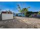 Open backyard features a shed, young tree, and plenty of space for outdoor activities at 709 New Mexico St, Boulder City, NV 89005