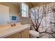 Neutral bathroom features a single sink vanity and decorative shower curtain at 8811 Tomnitz Ave # 101, Las Vegas, NV 89178