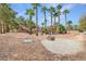 Spacious backyard featuring mature trees, drought-resistant plants, and inviting fire pit area at 912 Santa Ynez Ave, Henderson, NV 89002