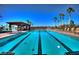 A lap swimming pool with lane markers, surrounded by lounge chairs and palm trees, for fitness and relaxation at 1125 Via Canale Dr, Henderson, NV 89011