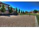 Sand volleyball court surrounded by lush greenery, ideal for friendly games and recreation at 1125 Via Canale Dr, Henderson, NV 89011