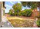 Backyard with brick landscaping, a spacious lawn, and mature trees offering shade at 4007 W Red Coach Ave, North Las Vegas, NV 89031