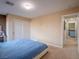Comfortable bedroom with carpet, light colored walls and plenty of closet space for storage at 7125 Mountain Den Ave, Las Vegas, NV 89179