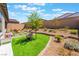 Manicured backyard features green grass, a patio, and a lounge area for relaxing at 715 Drammatico Pl, Henderson, NV 89011