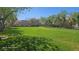 Manicured community lawn bordered by mature trees, providing a serene and picturesque outdoor area for residents at 8928 Hand Painted Ct, Las Vegas, NV 89149