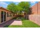 Private backyard with lush greenery, a mature tree, and a patio area at 10259 Wolves Den Ln, Las Vegas, NV 89178